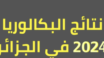 Screenshot 2024 06 22 at 10.41.24 PM 800x500 1